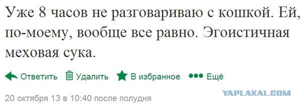 Прикольные пикчи