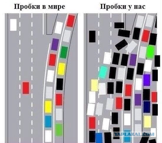 Я не умею водить