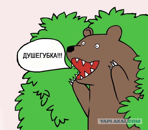 Куколка