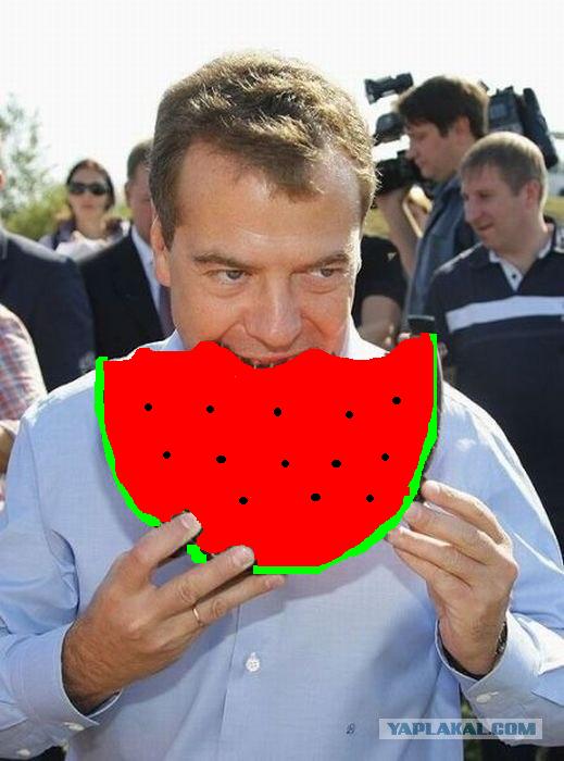 Медведев сходил за продуктами