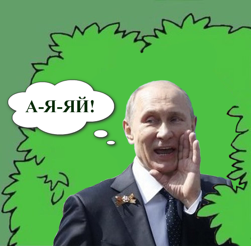 Немного о студентках