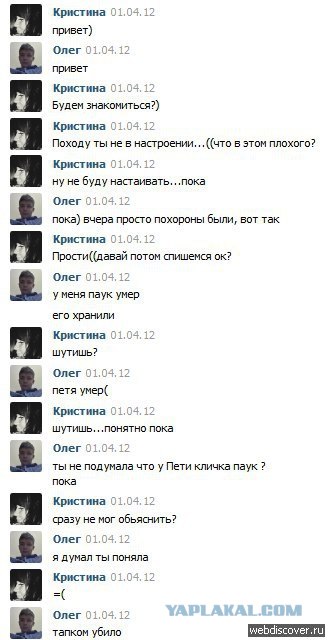 Как выглядит стандартная лента вконтакте