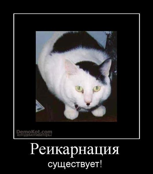 Веселые картинки