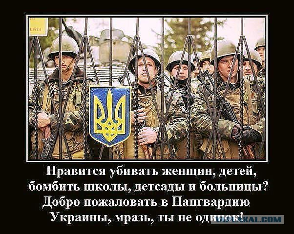 Белые Вовки Укроина