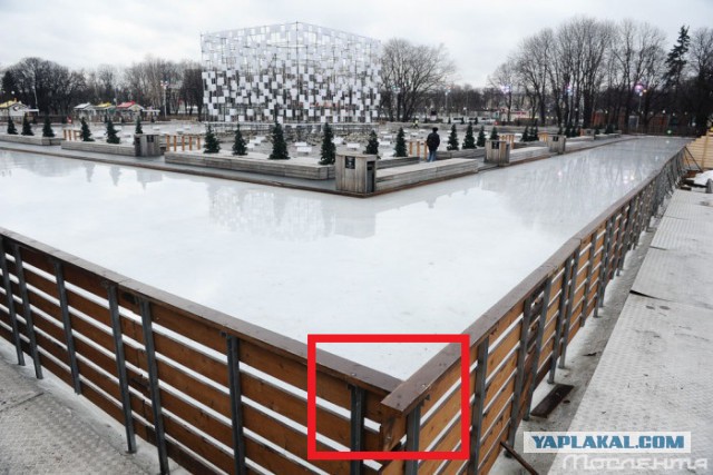 Последствия аномально теплой погоды в Москве