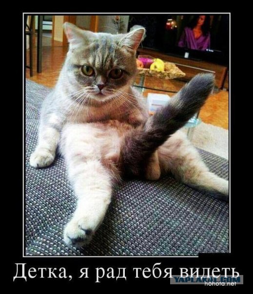 Разные картинки