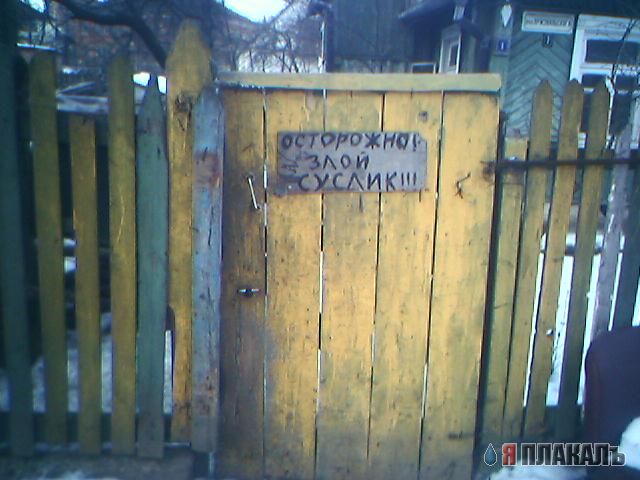 ВЫВЕСКИ, ТАБЛИЧКИ. Смешные и прикольные
