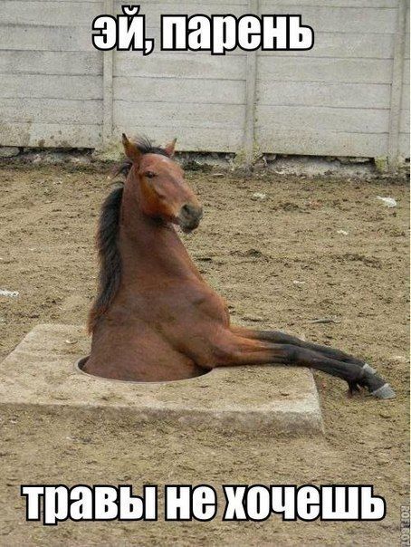 Абсурдный юмор ч.2