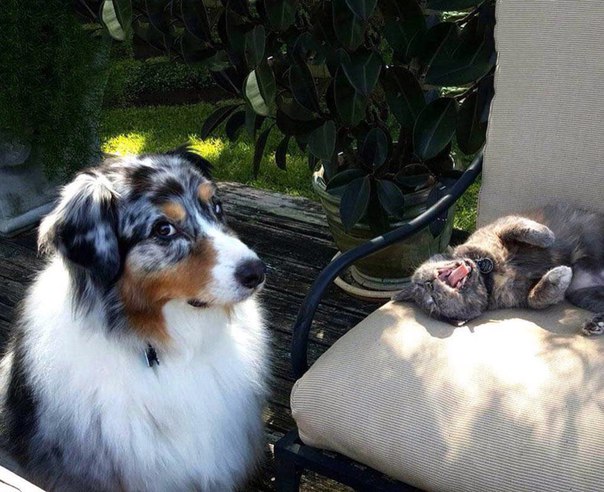 Четверговая солянка