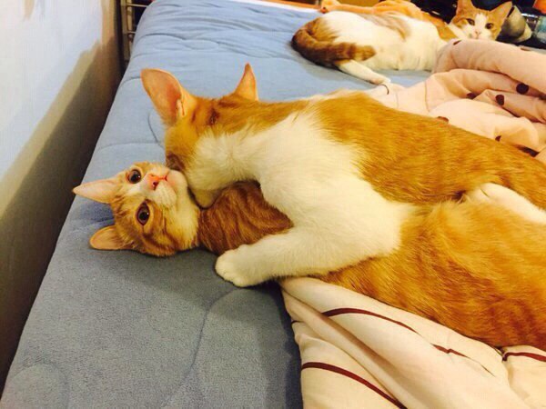 Подборка идиотских фотографий часть 3