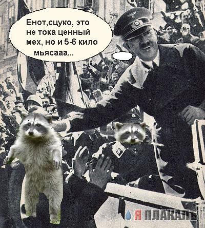 Разборки