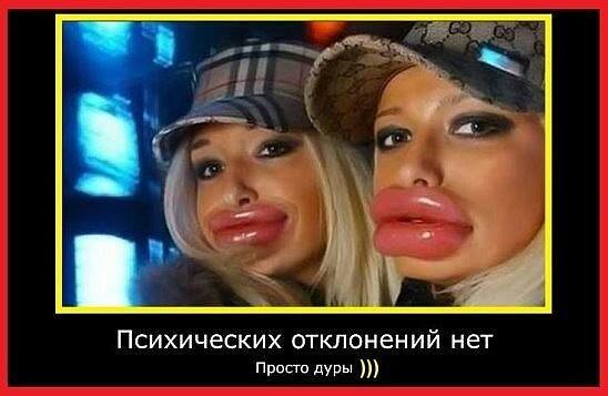 40 улыбательных картинок