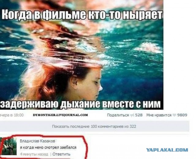 Смешные комментарии из социальных сетей