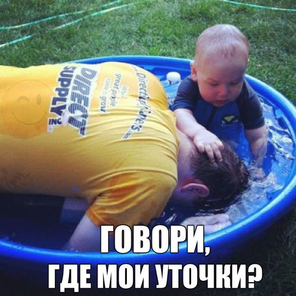 Подборка смешных картинок с надписями