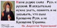 Порция картинок из сети