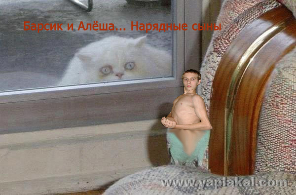 Барсик и Кеша (жесть)