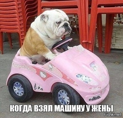 Автоюмор