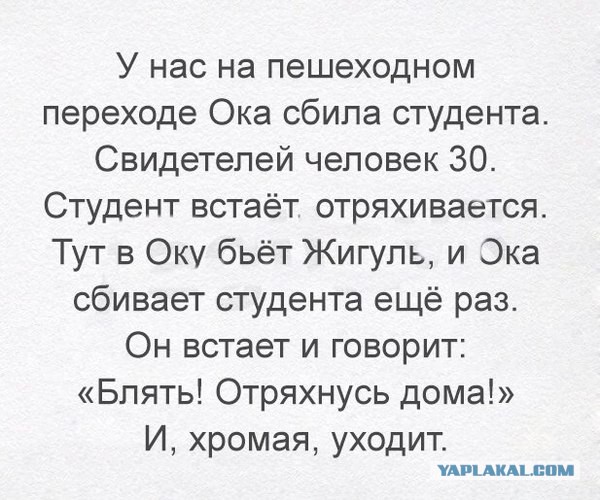 Смешные комментарии из социальных сетей 30.12.2016