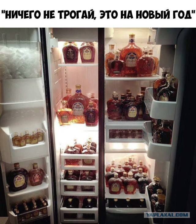 Смешные комментарии из социальных сетей 30.12.2016
