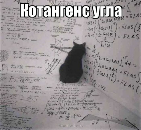 Приколы, которые поднимут вам настроение