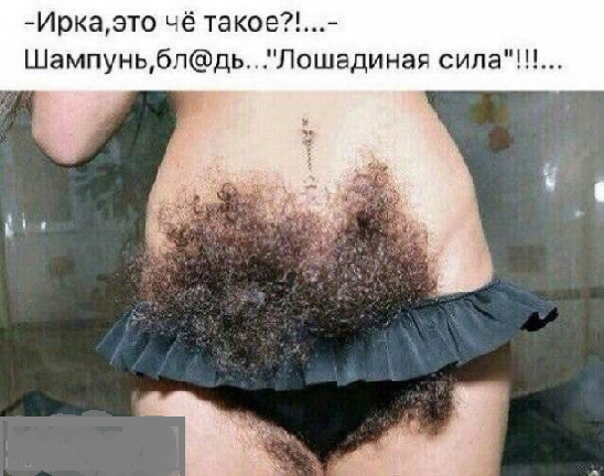 Журнал Школьный Деградант