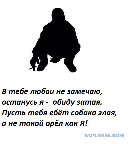 Я Ебать Собак Всегда Готов