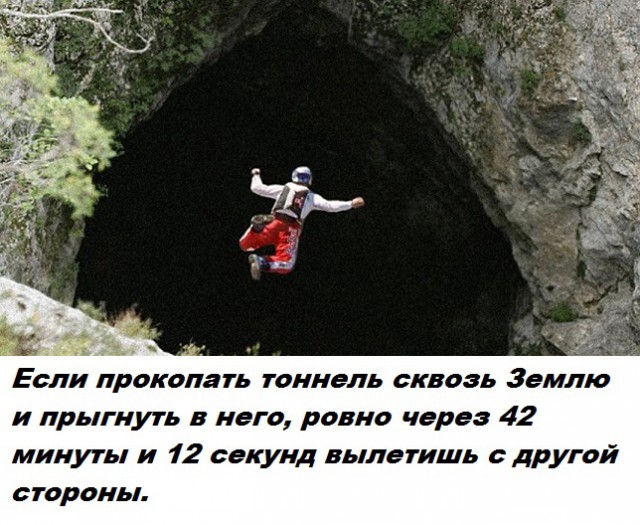 Подборка бесполезных фактов