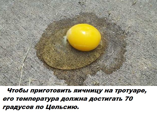 Подборка бесполезных фактов.