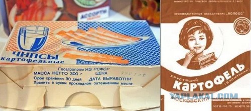 Как только люди выживали на Новый год?