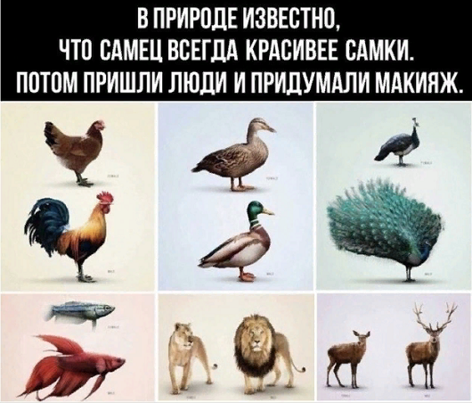 Просто юмор №30