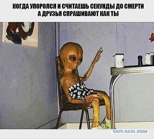 Сборище картинок