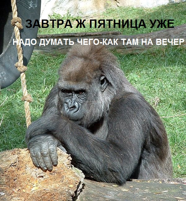 Просто 40  картинок...