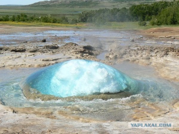 Гейзер шоу тайм (10 фото)