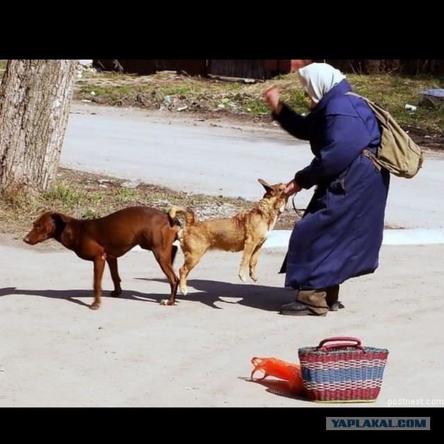 Квартет