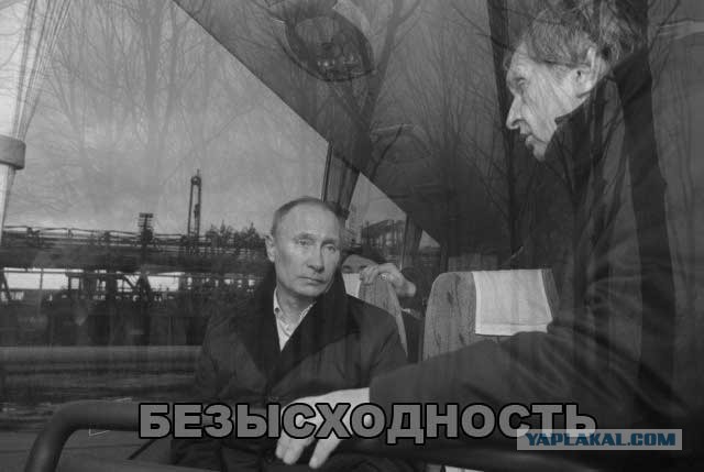 Владимир Владимирович смотрит на своего преемника