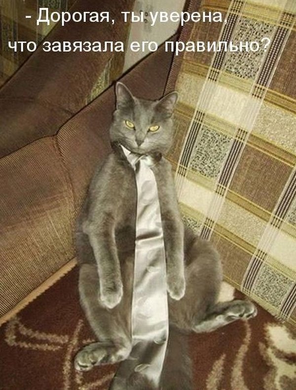 Чуток картинок.  Вечерние