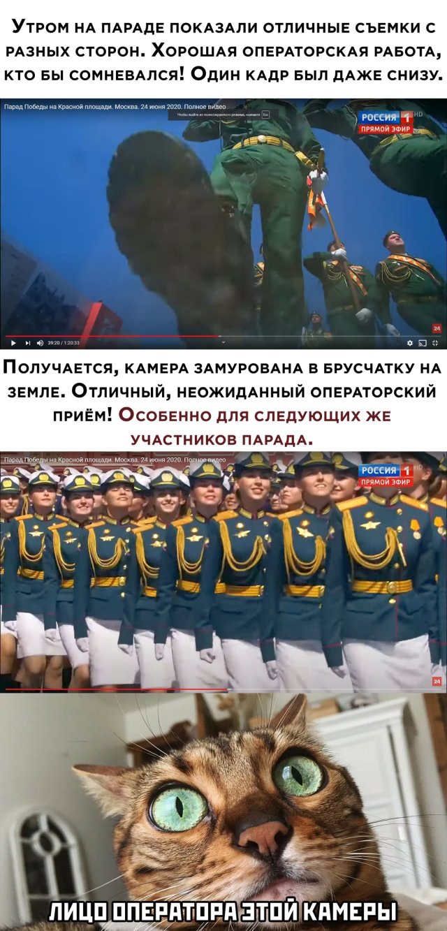 Дурацкие картинки