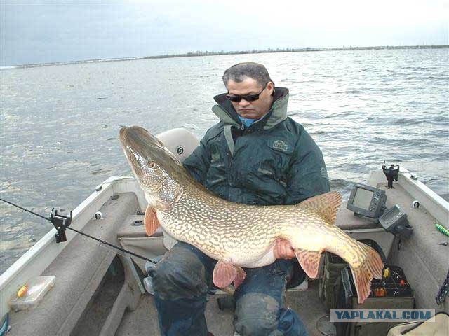 Фотожаба: Ну что же ты, Морфеус?!