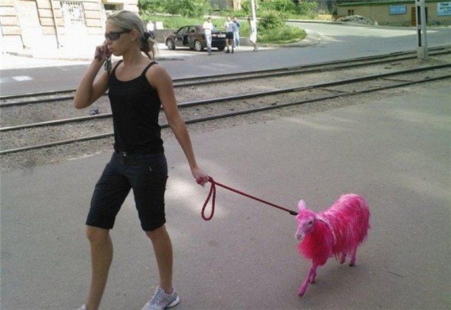 Мы идем гулять!