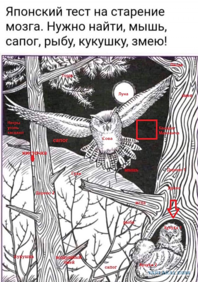 Бредзона 10.10.2021