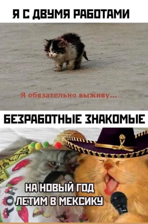 Картинки и мемы для настроения