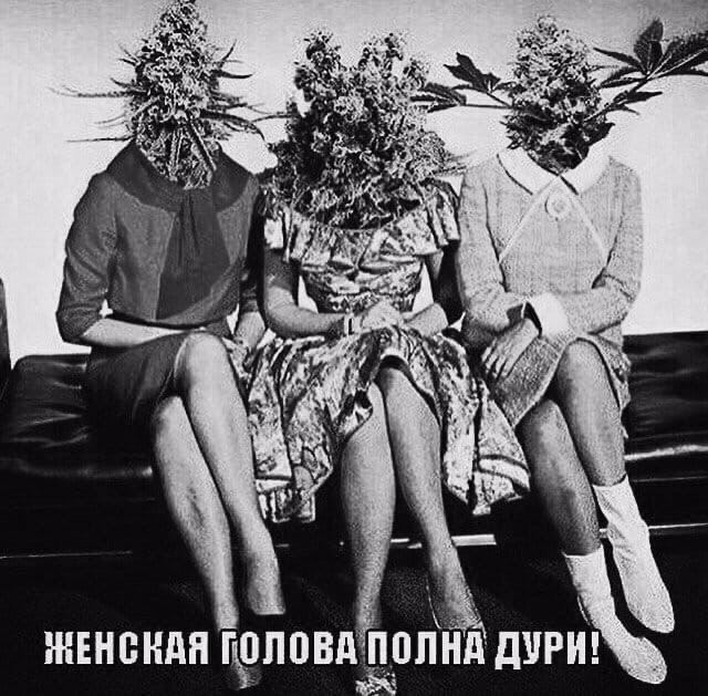 Ловите момент