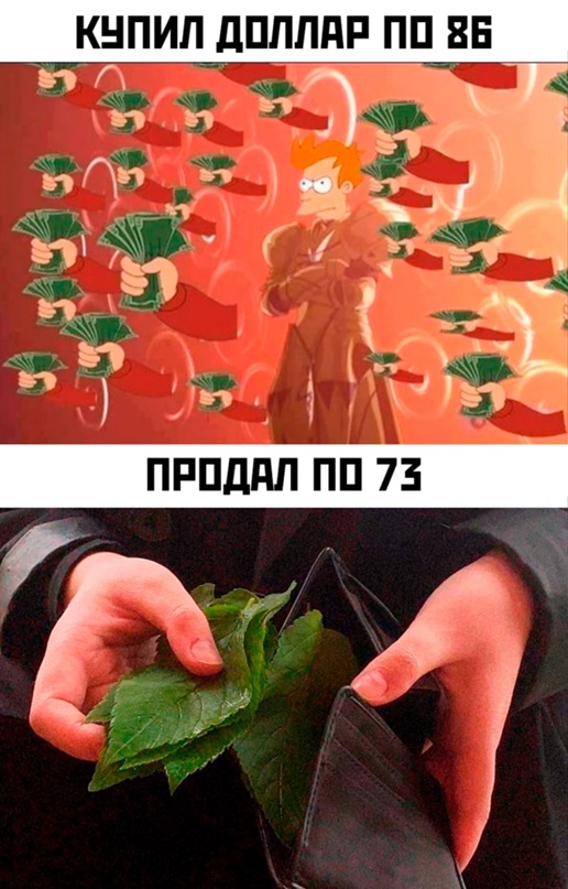 Весёлый полтишок 11.04.22