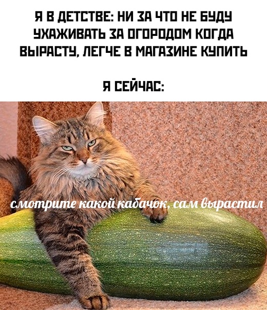 Немного картинок для настроения - 117