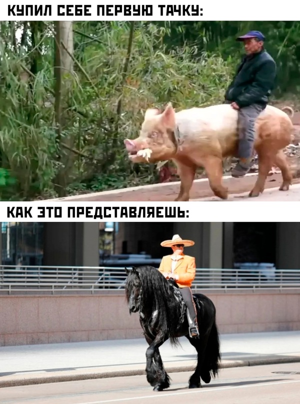 Картинки и мемы для настроения - 167