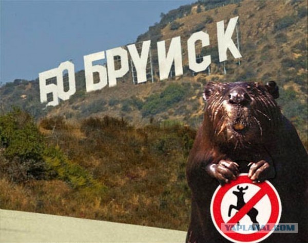 Необычные звонки в белорусское МЧС