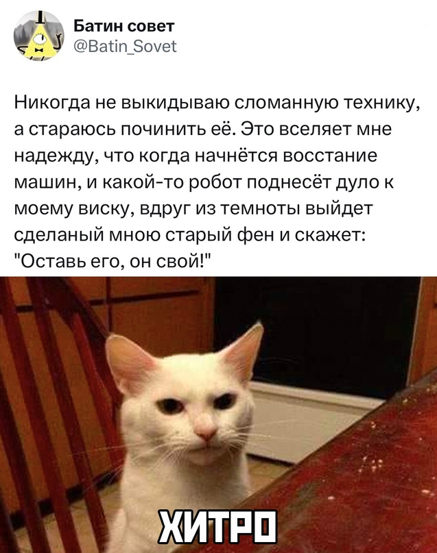 Весёлый полтишок 21.08.23