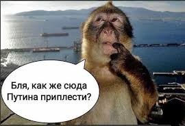 Как  выглядят солистки группы «Тату» в 2024 году