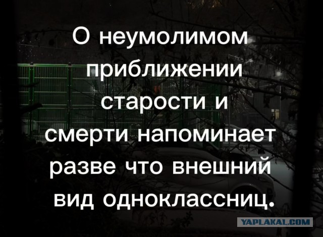 Так себе картинки 28.06.25