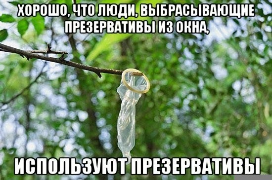 Пора деградировать. Дичь